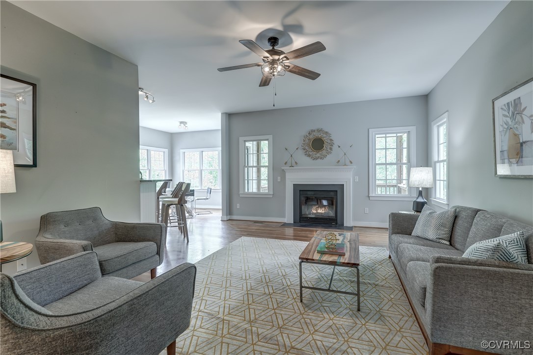 5501 Pine Needles Terrace Providence Forge, VA 23140 - Photo 9 of 50 a living room with furniture and a fireplace