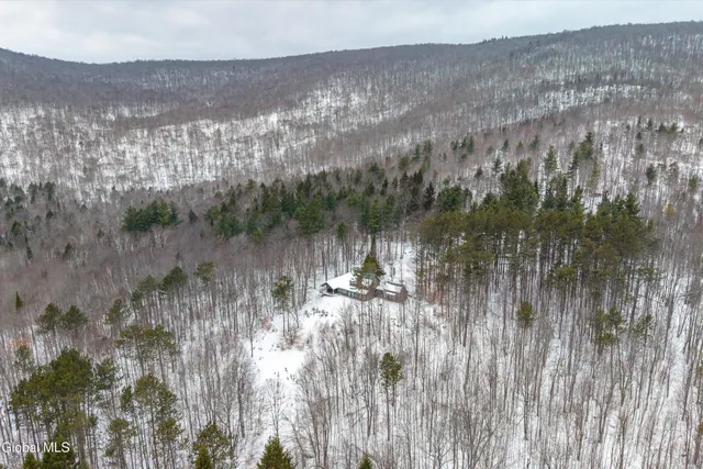 $699,900 | 54 Darling Road, Stony Creek, NY 12878