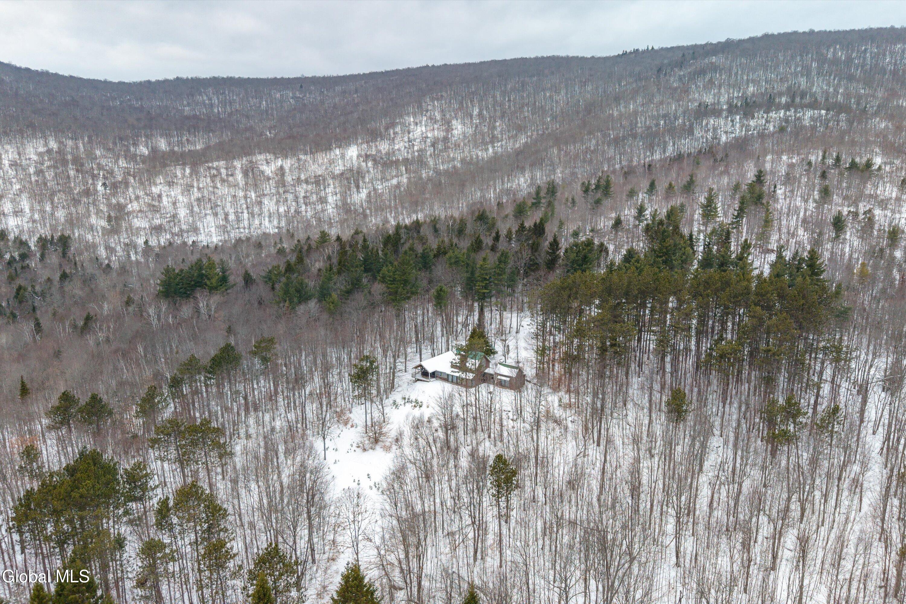 54 Darling Road Stony Creek, NY 12878 - Photo 2 of 76 105-54 Darling Rd-45