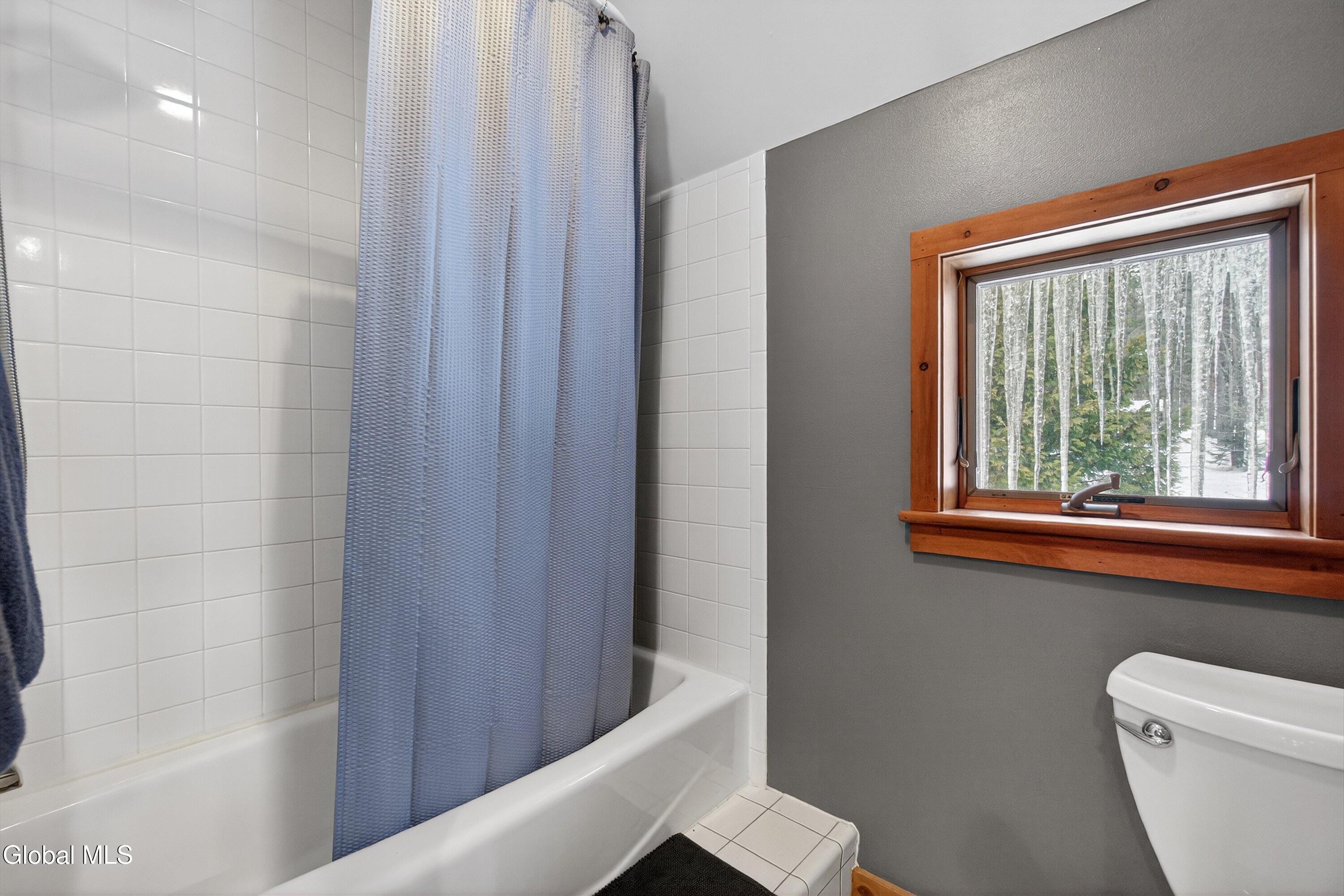 54 Darling Road Stony Creek, NY 12878 - Photo 46 of 76 078-DSC04486