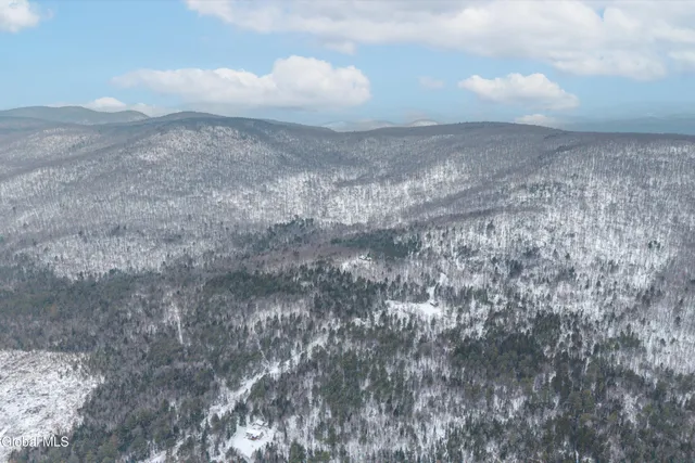 $699,900 | 54 Darling Road, Stony Creek, NY 12878