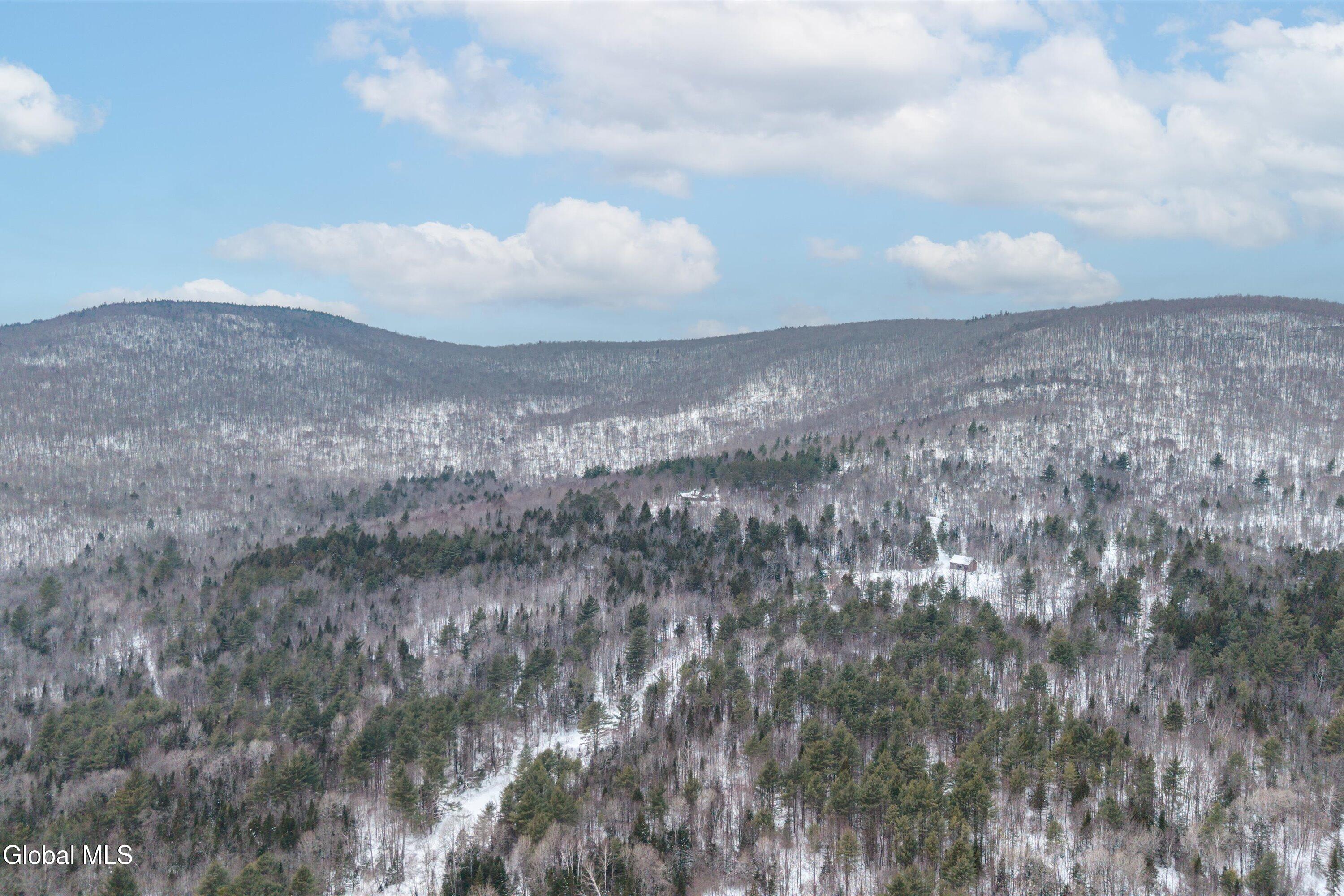 54 Darling Road Stony Creek, NY 12878 - Photo 70 of 76 116-54 Darling Rd-56