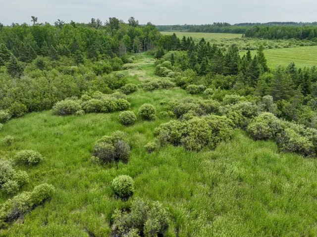 $22,500 | 9.9 South A S Forrest Side Road, Dafter, MI 49724