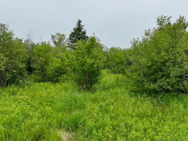 $22,500 | 9.9 South A S Forrest Side Road, Dafter, MI 49724