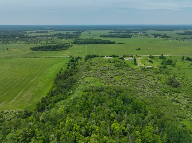 $22,500 | 9.9 South A S Forrest Side Road, Dafter, MI 49724