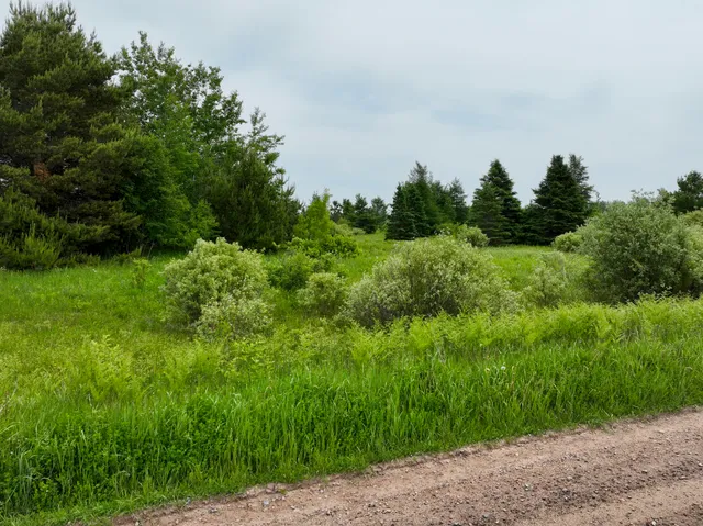 $22,500 | 9.9 South A S Forrest Side Road, Dafter, MI 49724