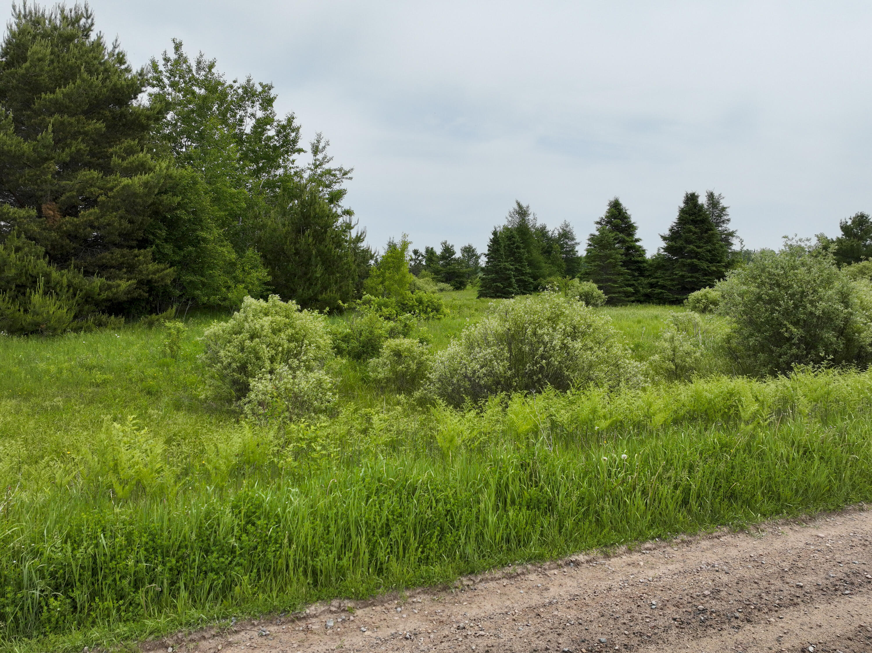 9.9 South A S Forrest Side Road Dafter, MI 49724 - Photo 5 of 14 VacantLand_DafterMI24