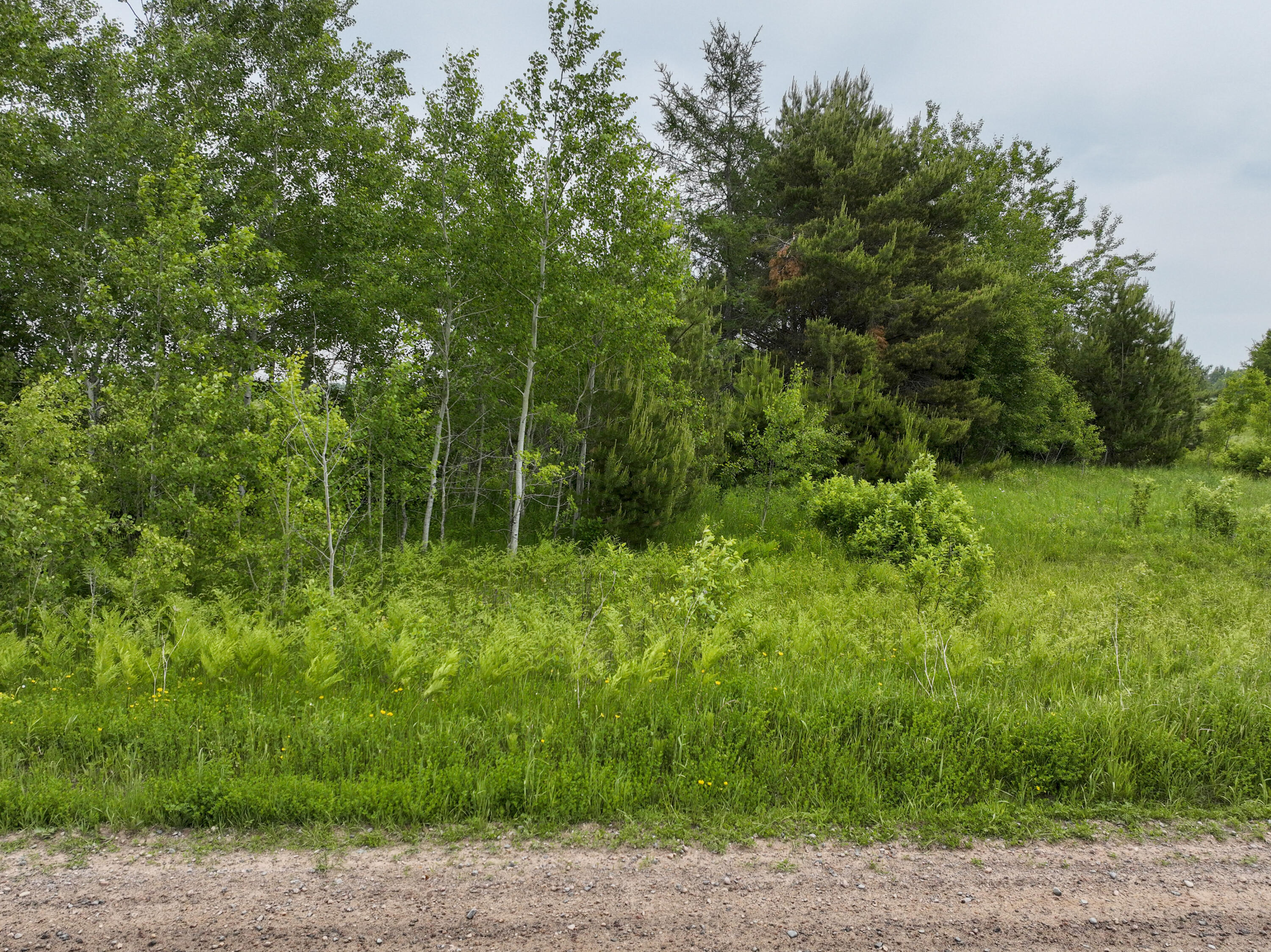 9.9 South A S Forrest Side Road Dafter, MI 49724 - Photo 6 of 14 VacantLand_DafterMI25