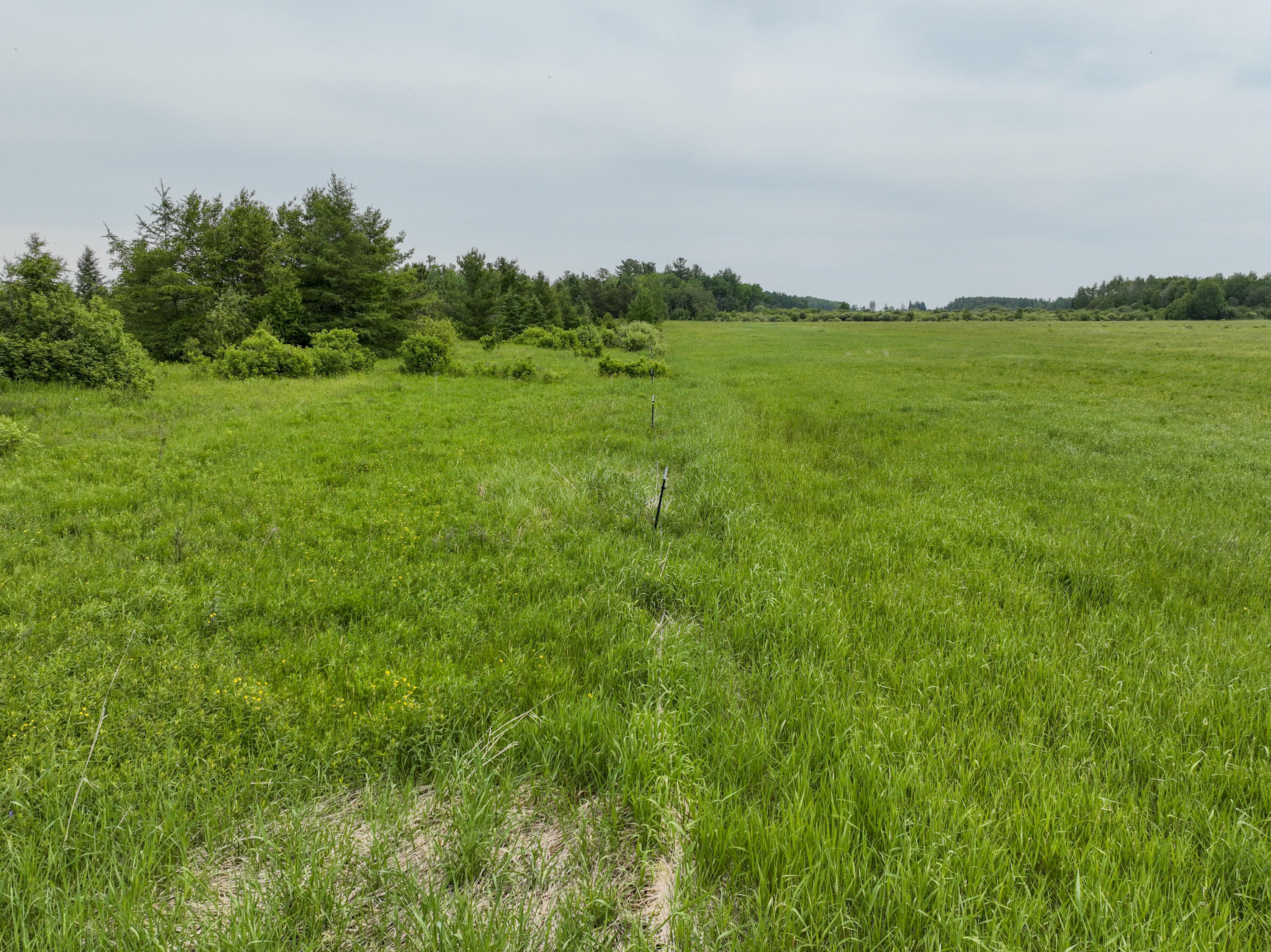 9.9 South A S Forrest Side Road Dafter, MI 49724 - Photo 8 of 14 VacantLand_DafterMI31