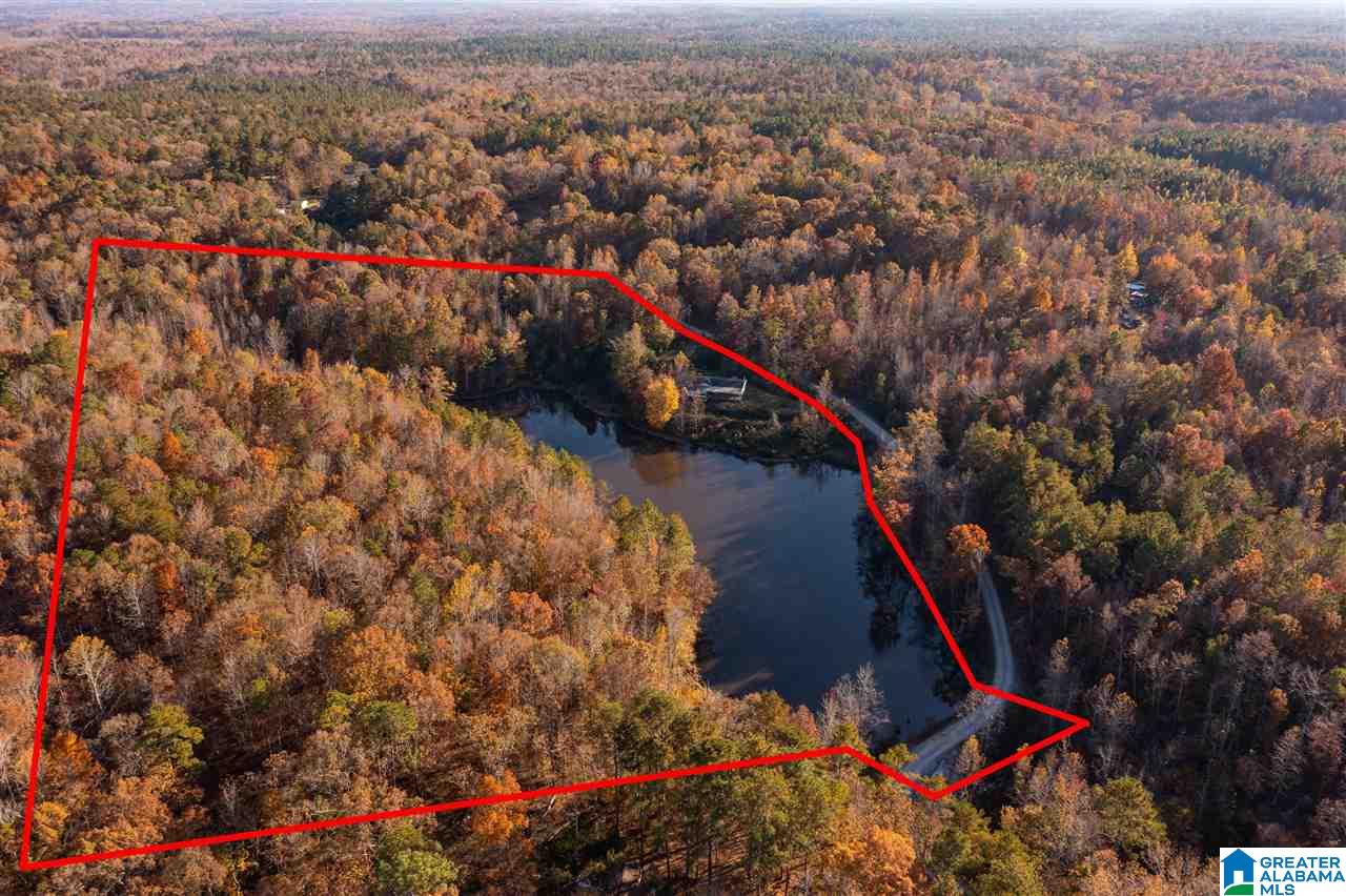 300 Henderson Lake Road Sylacauga, AL 35151 - Photo 10 of 20
