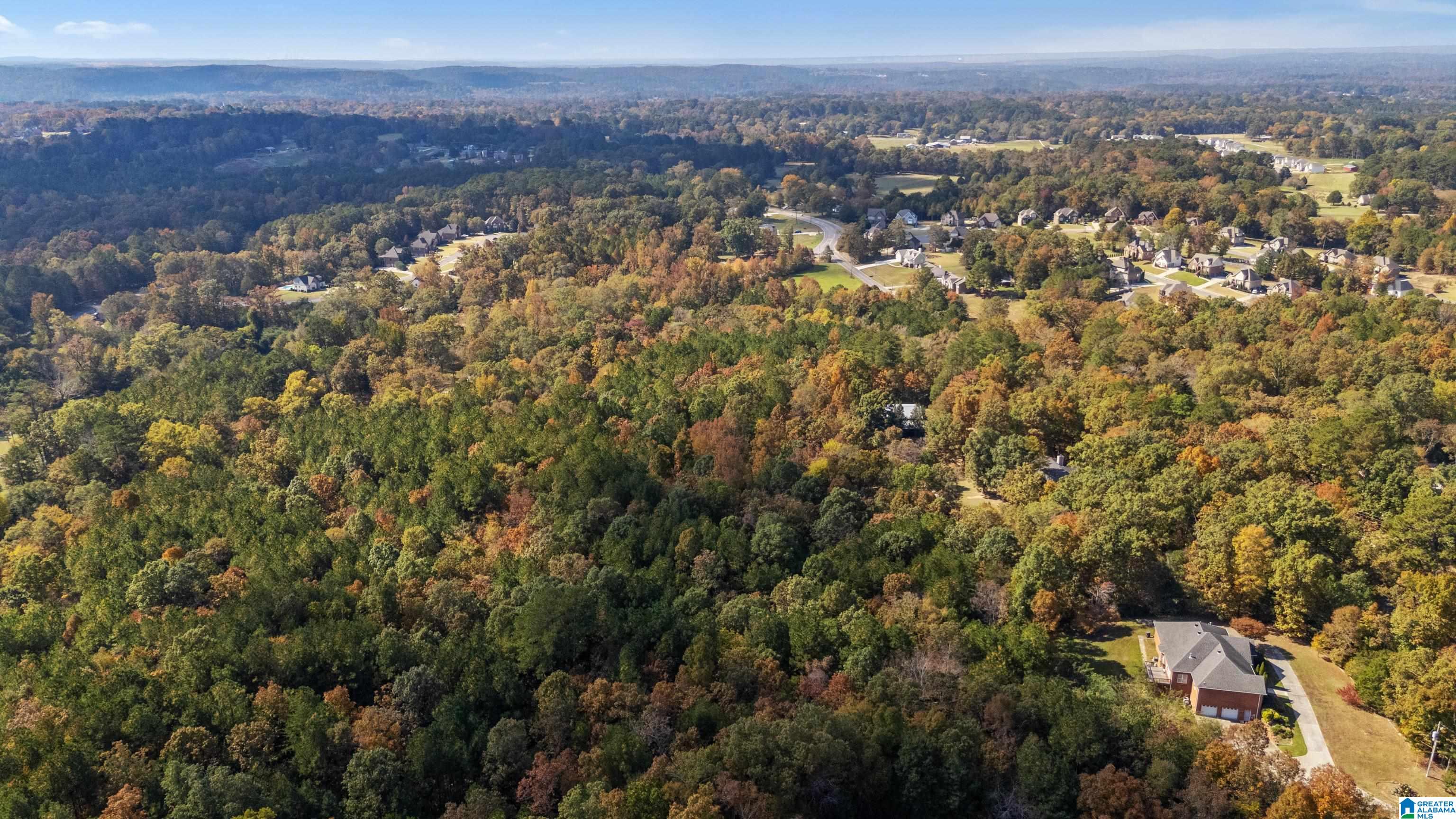 1471 Self Creek Road Morris, AL 35116 - Photo 59 of 62