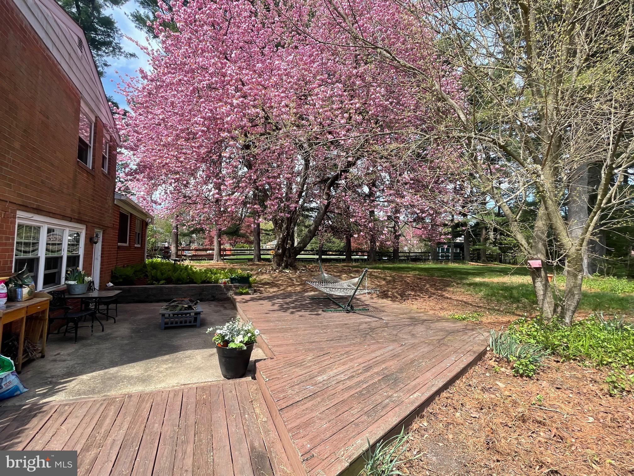 120 Conestoga Road Malvern, PA 19355 - Photo 3 of 12 Patio & Deck out back