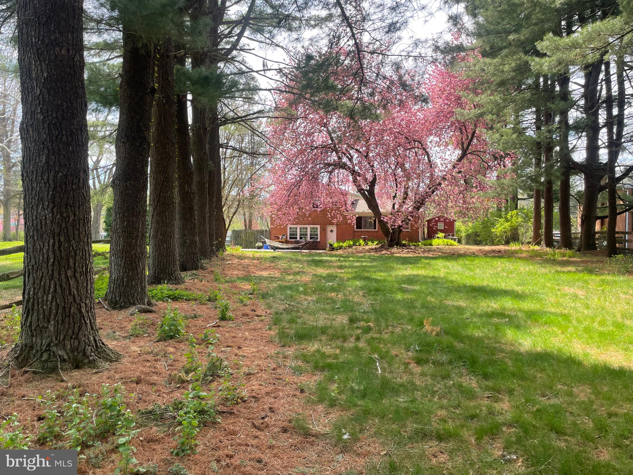 120 Conestoga Road Malvern, PA 19355 - Photo 6 of 12 Level lot w/ perennials
& partially fenced Yard