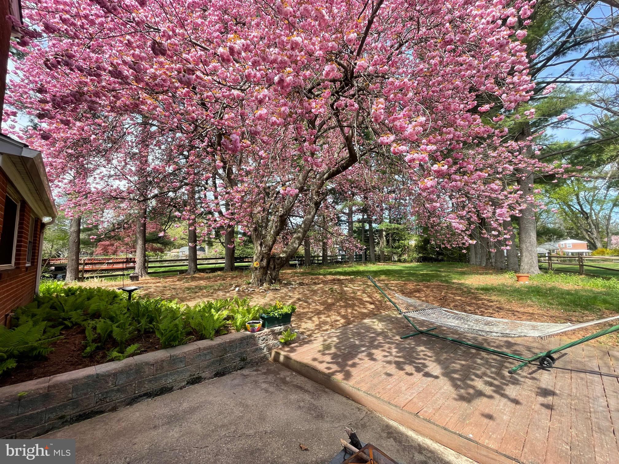 120 Conestoga Road Malvern, PA 19355 - Photo 7 of 12 Places to Bar-B-Q & relax in hammock!