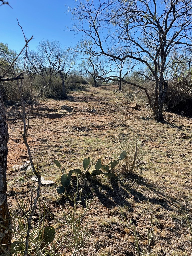 1 North Durst Road Mason, TX 76856 - Photo 4 of 12 Gallery Image 4