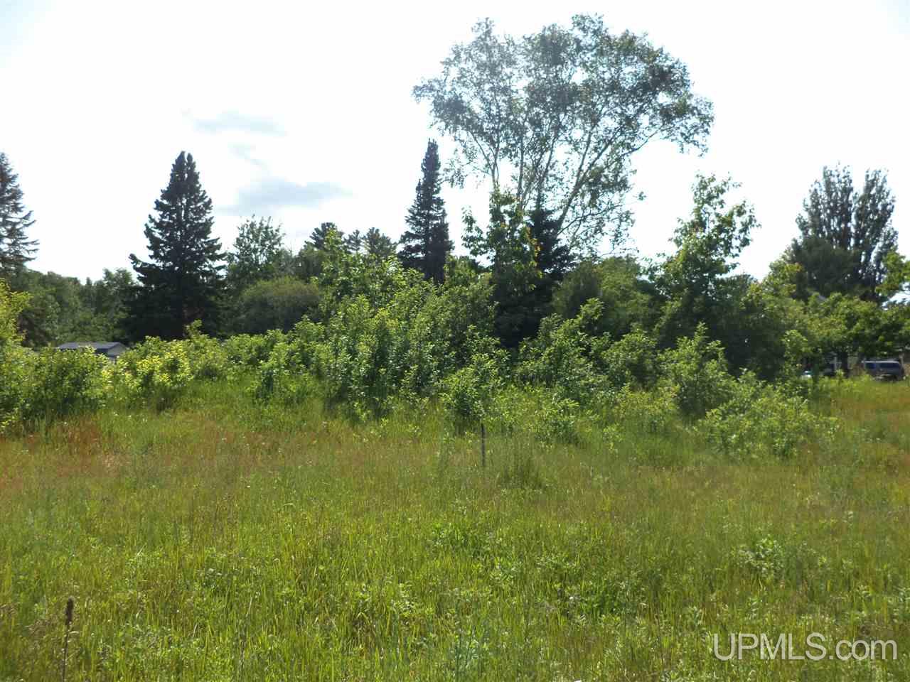 Tbd Third & Cedar Mohawk, MI 49950 - Photo 1 of 6