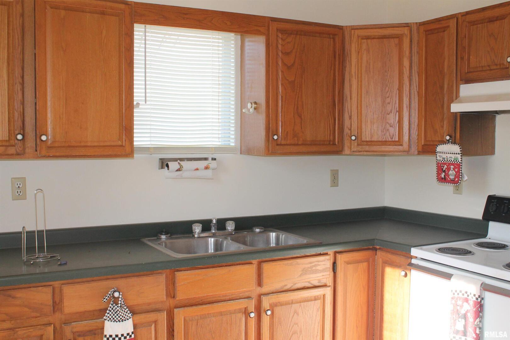 701 West Cherry Street, Unit 1 Carbondale, IL 62901 - Photo 5 of 9 a kitchen with granite countertop a sink cabinets and a window