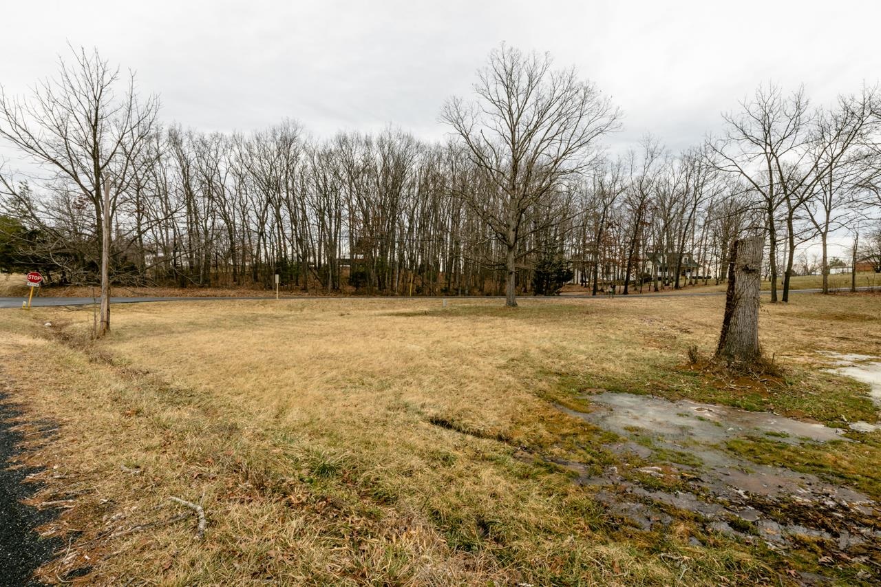 724 Wilda Road Stuarts Draft, VA 24477 - Photo 3 of 34 Gallery Image 3