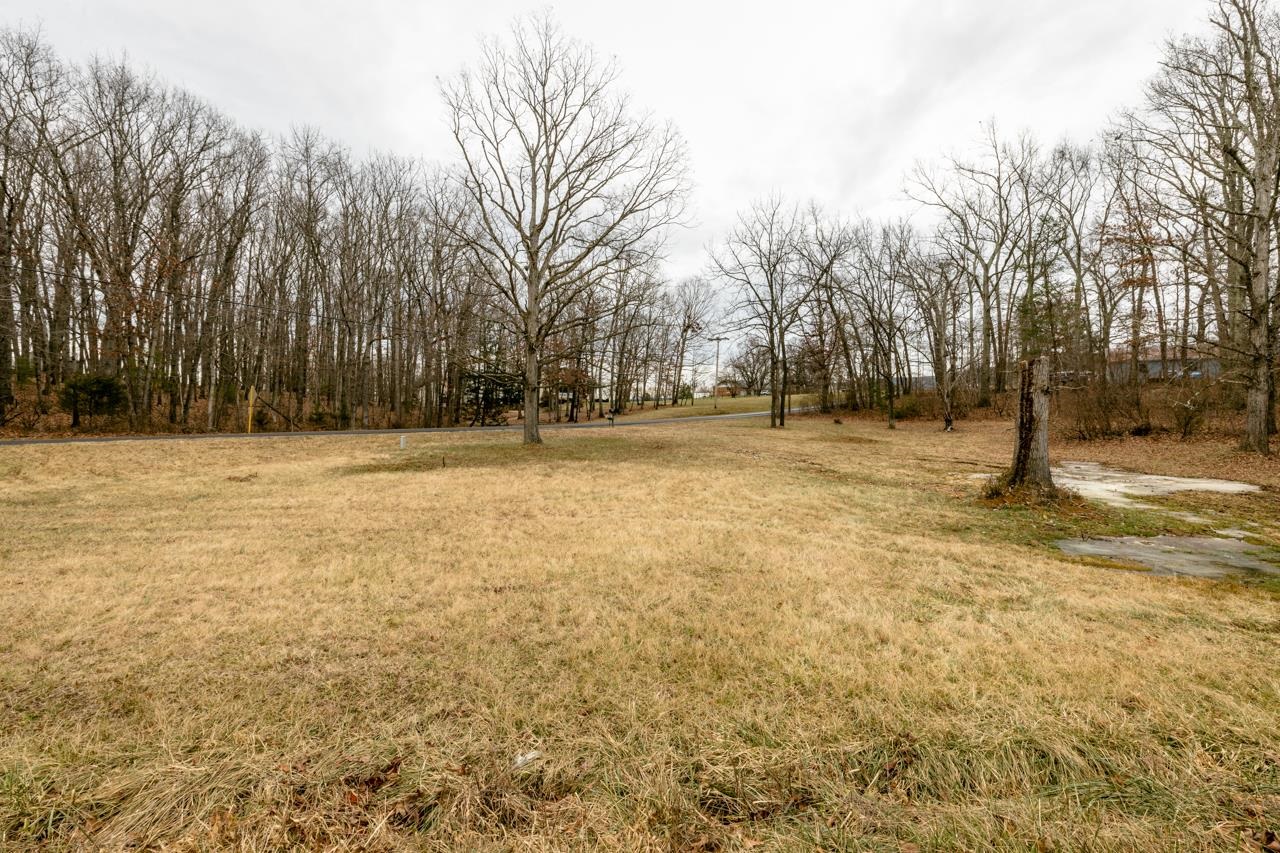 724 Wilda Road Stuarts Draft, VA 24477 - Photo 4 of 34 Gallery Image 4