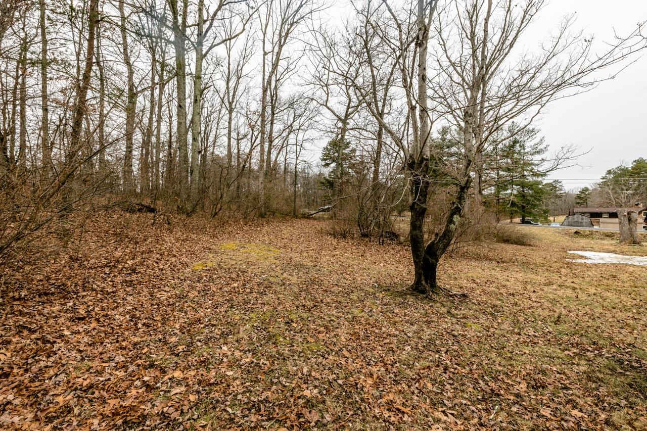 724 Wilda Road Stuarts Draft, VA 24477 - Photo 10 of 34 Gallery Image 10