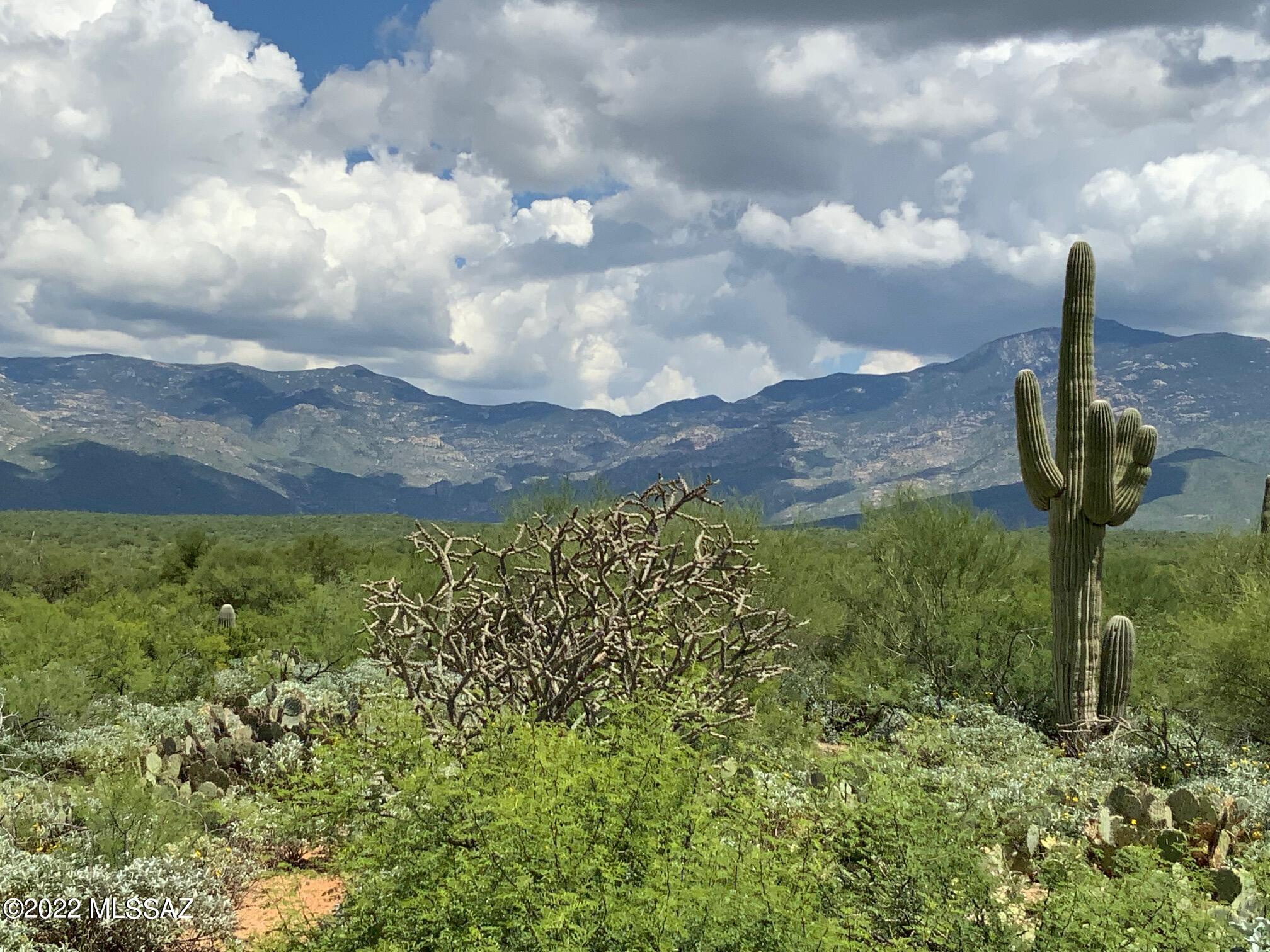 7460 Rolling Tumbleweed Road Vail, AZ 85641 - Photo 44 of 44