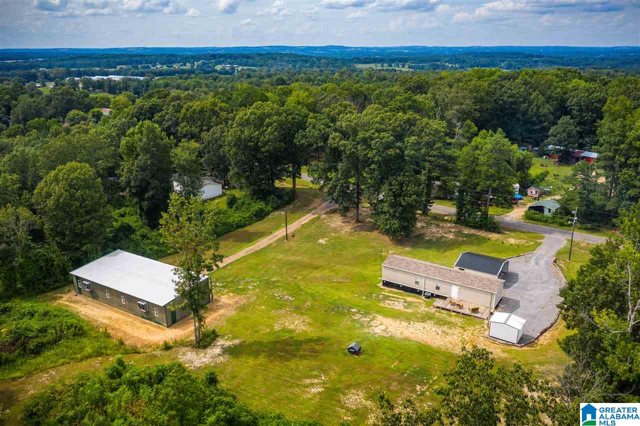 2900 Wilson Chapel Road Altoona, AL 35952 - Photo 48 of 50