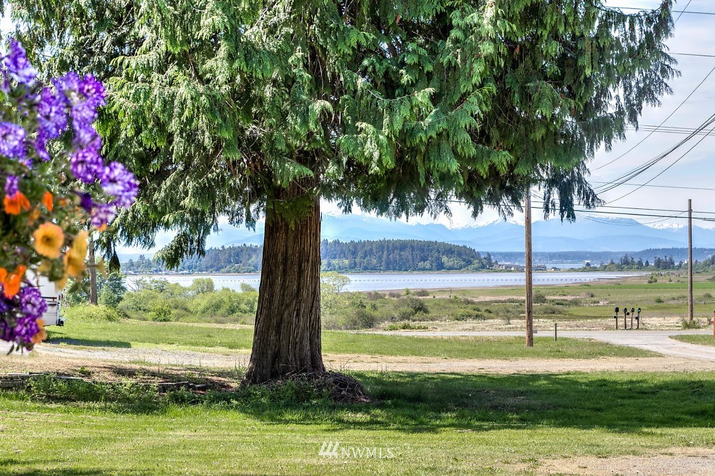 580 West Wanamaker Road Coupeville, WA 98239 - Photo 19 of 25 Gallery Image 19