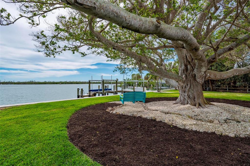 75 Spyglass Alley Placida, FL 33946 - Photo 53 of 79 a view of a park with large trees