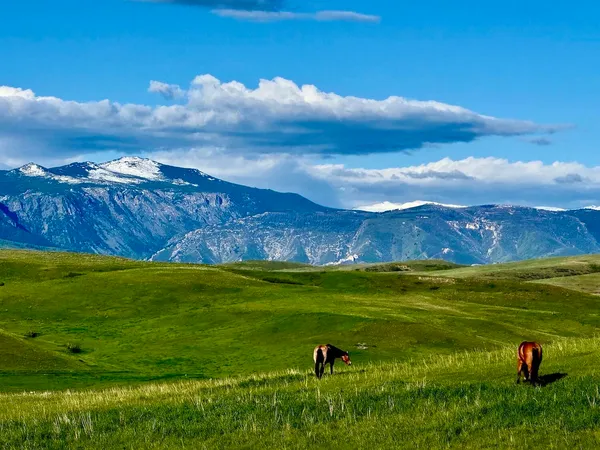 $2,995,000 | 743 Highway 14, Sheridan, WY 82801