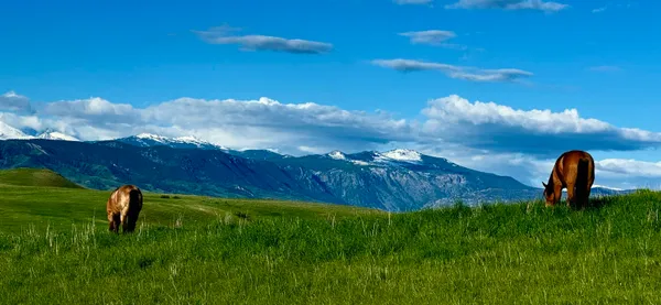 $2,995,000 | 743 Highway 14, Sheridan, WY 82801