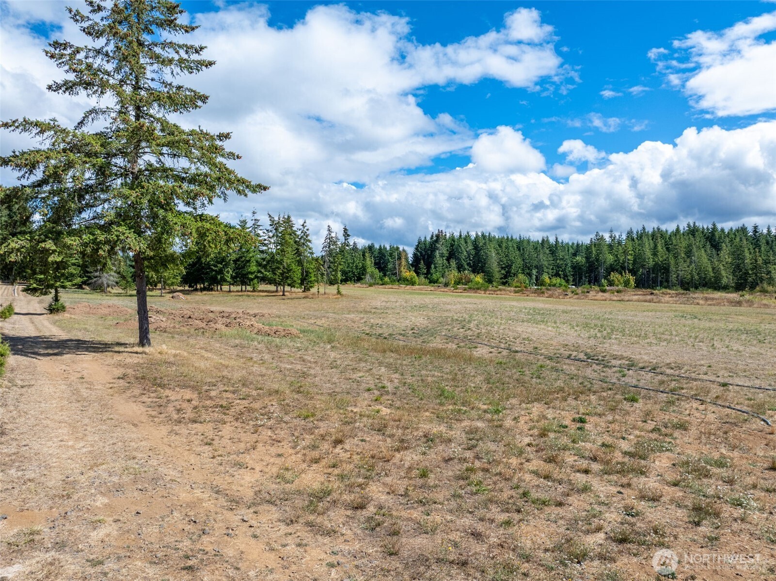 0 McGlaughlin Road, Unit 5 Winlock, WA 98596 - Photo 15 of 20 Gallery Image 15
