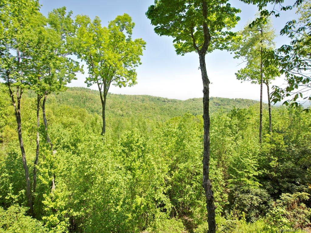 14 Spring Ridge Lane Hendersonville, NC 28739 - Photo 16 of 16 Gallery Image 16