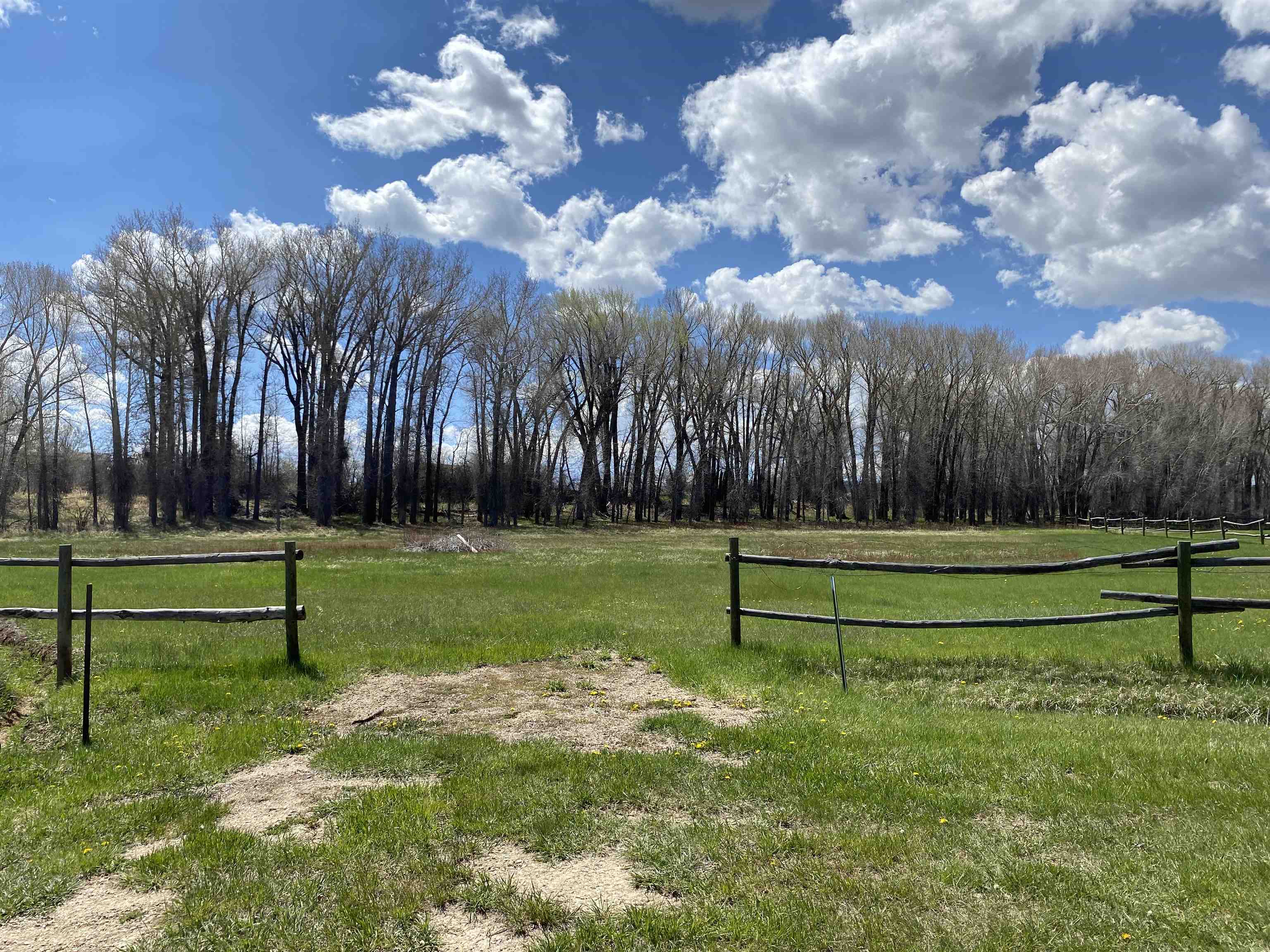29 Cedar Encampment, WY 82325 - Photo 18 of 26