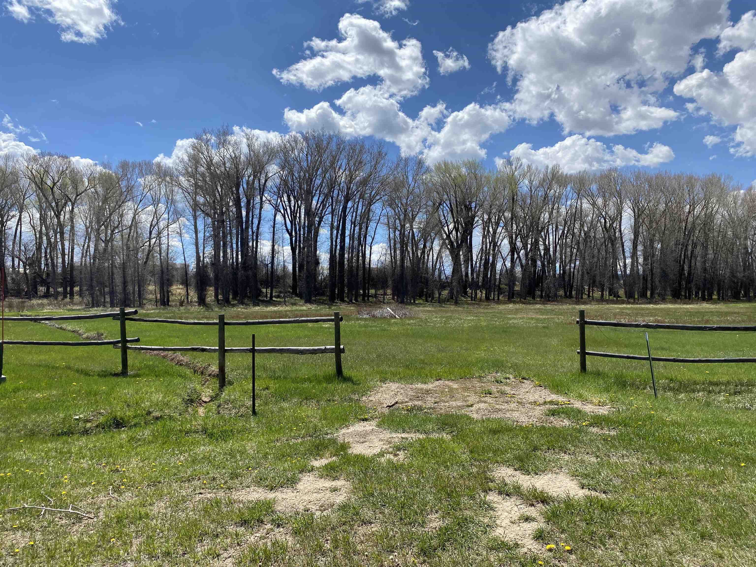 29 Cedar Encampment, WY 82325 - Photo 21 of 26