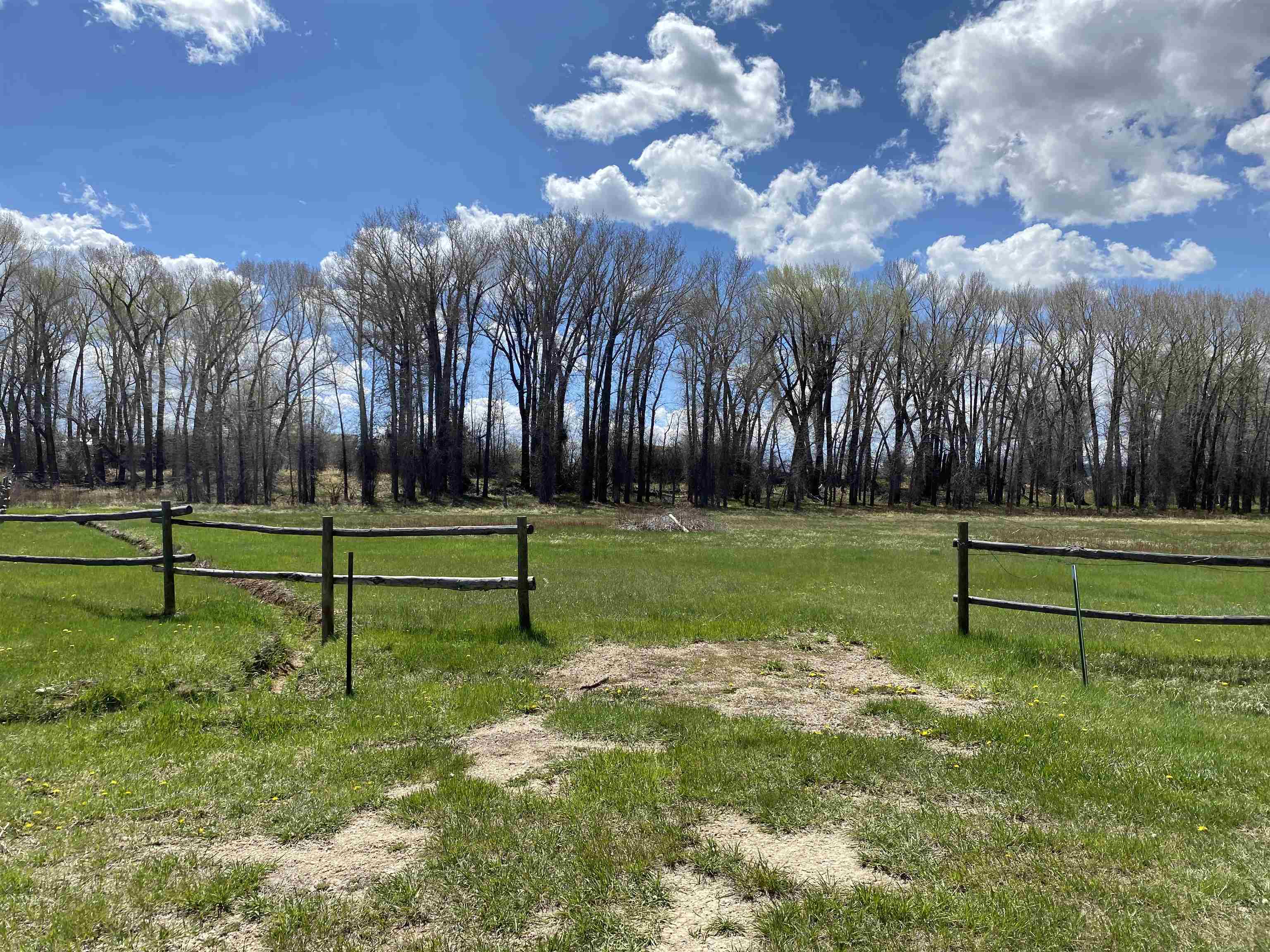 29 Cedar Encampment, WY 82325 - Photo 5 of 26