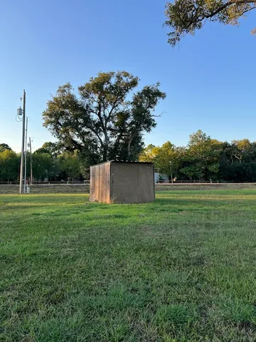 a view of a field with large trees