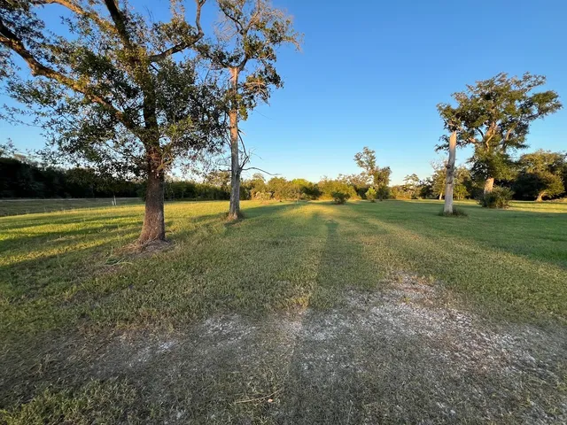 a view of a field with large trees