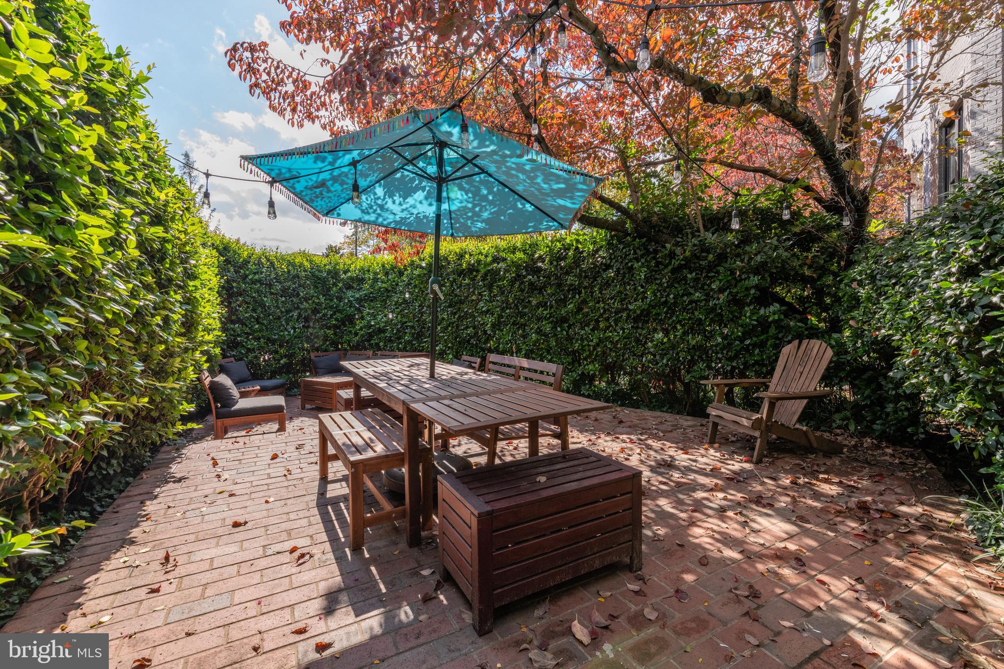 413 2nd Street Southeast Washington, DC 20003 - Photo 28 of 47 Private and hedge enclosed outdoor patio