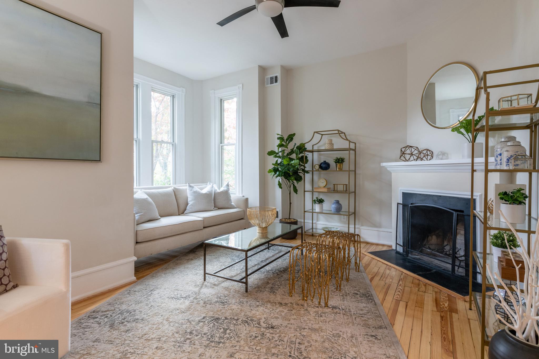 413 2nd Street Southeast Washington, DC 20003 - Photo 4 of 47 Spacious living room