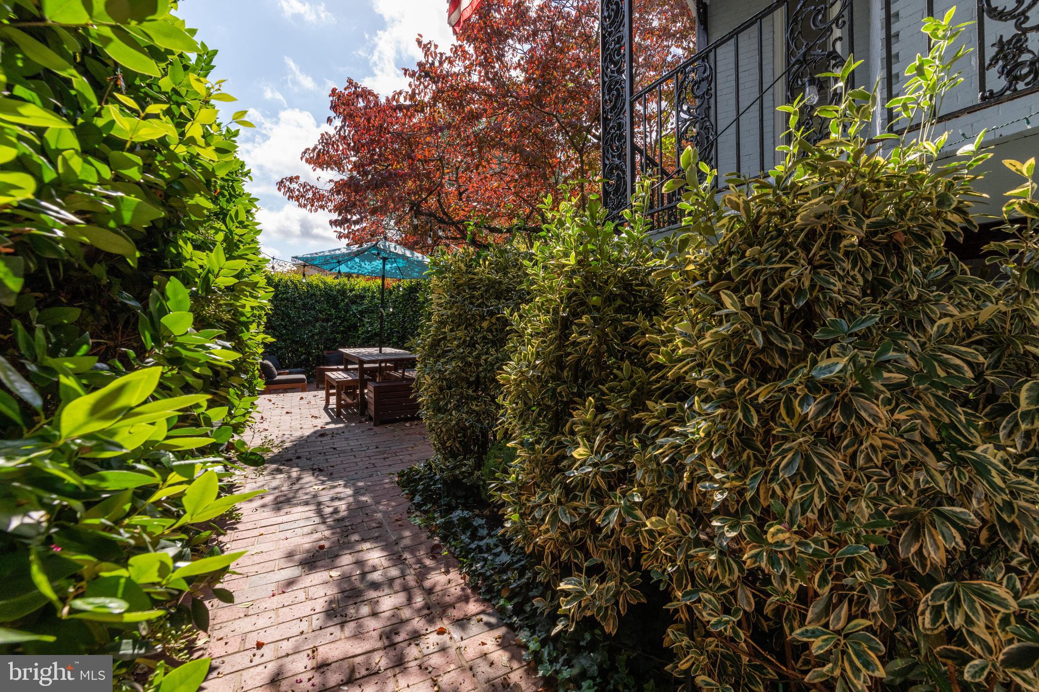 413 2nd Street Southeast Washington, DC 20003 - Photo 32 of 47 Private path to patio