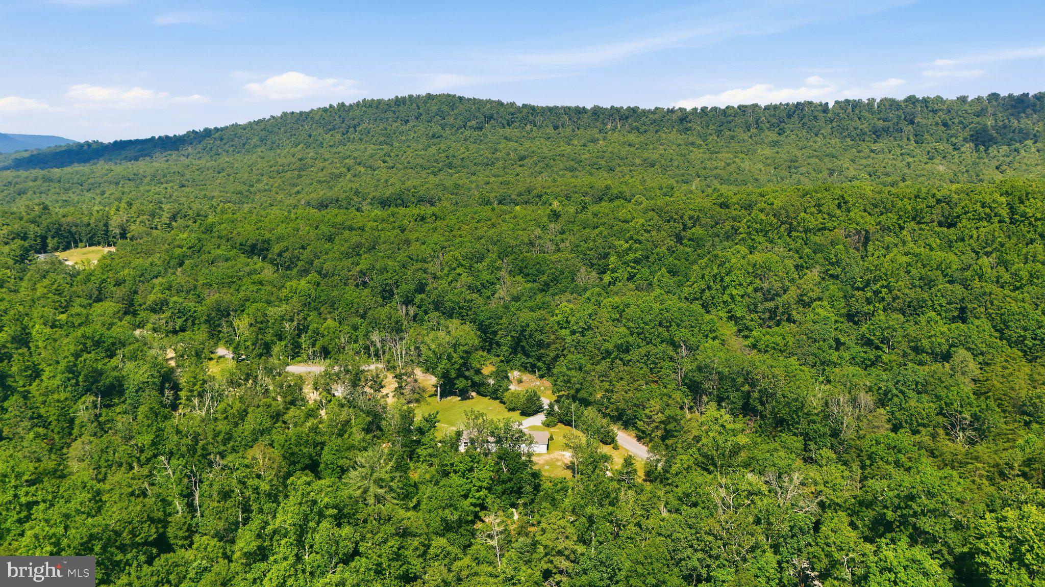 1355 Sandy Hollow Road Bloomery, WV 26817 - Photo 37 of 43