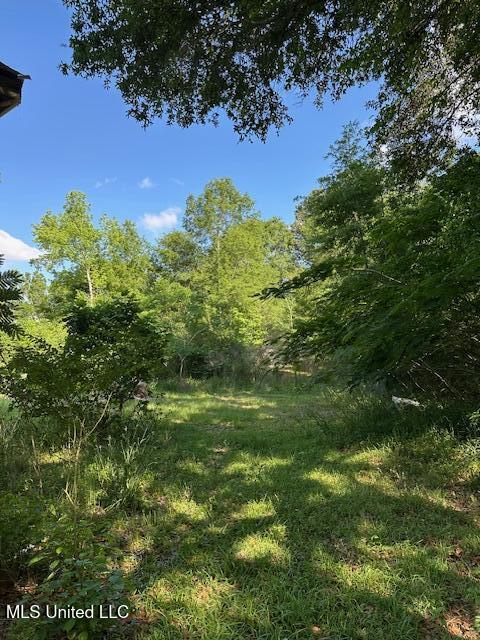 203 B School Basin Road Lucedale, MS 39452 - Photo 4 of 13 IMG_2222