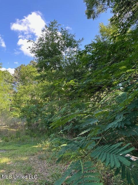 203 B School Basin Road Lucedale, MS 39452 - Photo 5 of 13 IMG_2224