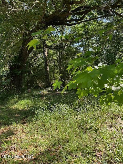 203 B School Basin Road Lucedale, MS 39452 - Photo 7 of 13 IMG_2219