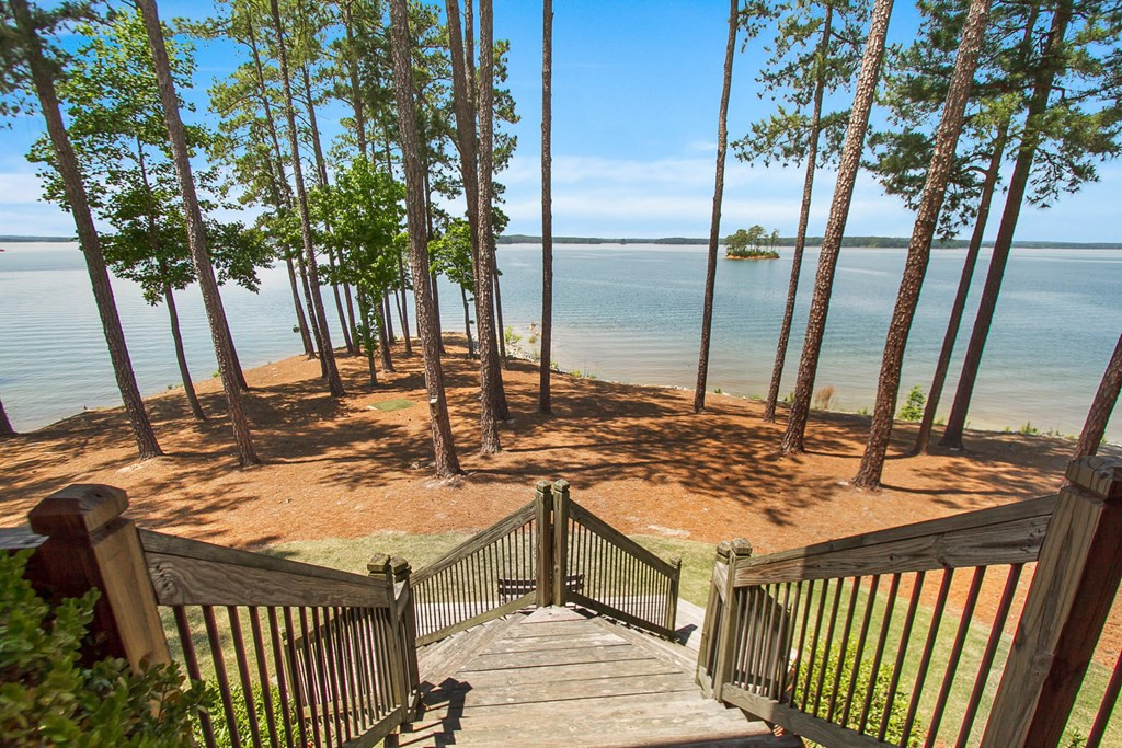 169 Anderson Lane Modoc, SC 29838 - Photo 30 of 50 Gallery Image 30