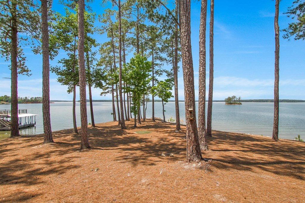 169 Anderson Lane Modoc, SC 29838 - Photo 34 of 50 Gallery Image 34