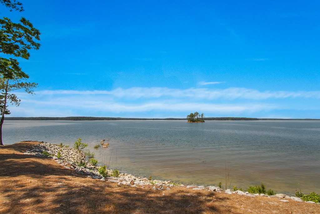 169 Anderson Lane Modoc, SC 29838 - Photo 35 of 50 Gallery Image 35