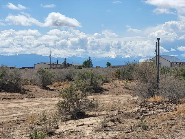 a view of a dry yard with trees
