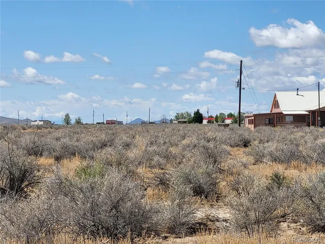 a view of a dry yard