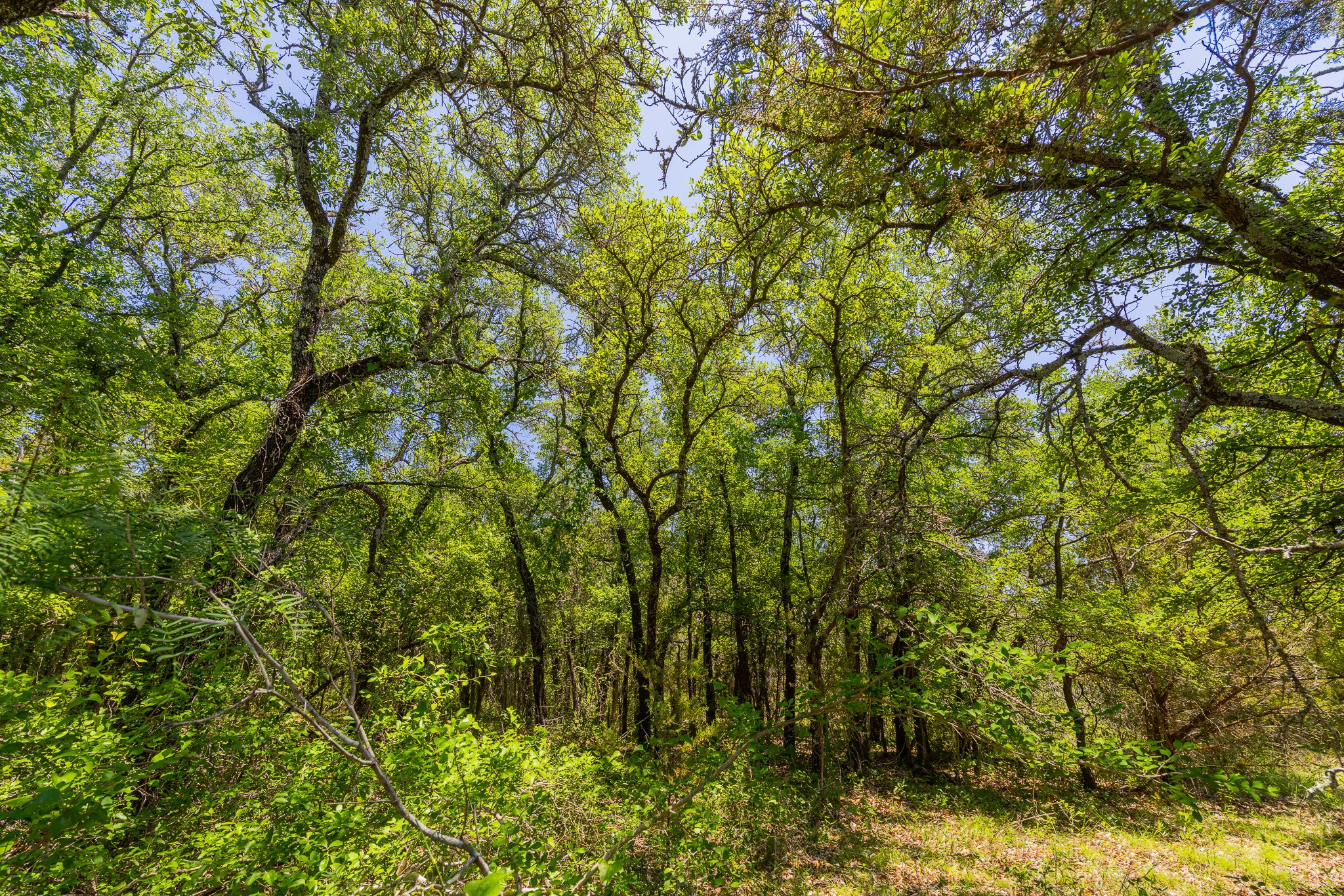180 72 Ac Road Purmela, TX 76566 - Photo 13 of 33